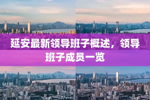 延安最新领导班子概述，领导班子成员一览