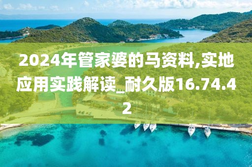 2024年管家婆的马资料,实地应用实践解读_耐久版16.74.42