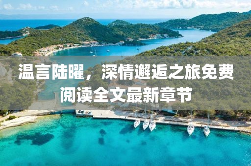 温言陆曜，深情邂逅之旅免费阅读全文最新章节