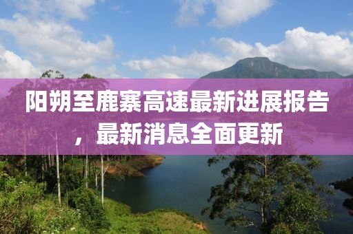 阳朔至鹿寨高速最新进展报告，最新消息全面更新