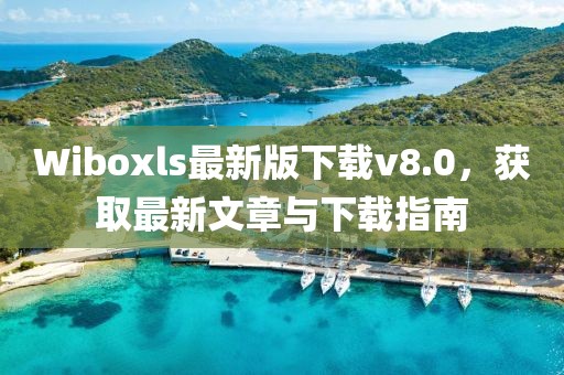 Wiboxls最新版下载v8.0，获取最新文章与下载指南