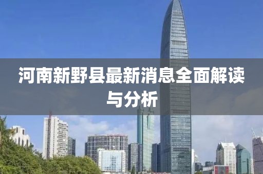 河南新野县最新消息全面解读与分析