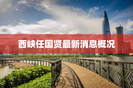 西峡任国贤最新消息概况