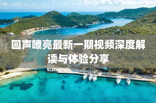 回声嘹亮最新一期视频深度解读与体验分享