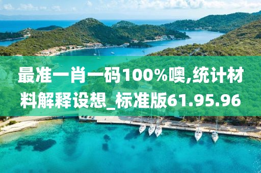 最准一肖一码100%噢,统计材料解释设想_标准版61.95.96