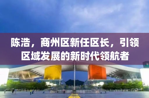 陈浩，商州区新任区长，引领区域发展的新时代领航者