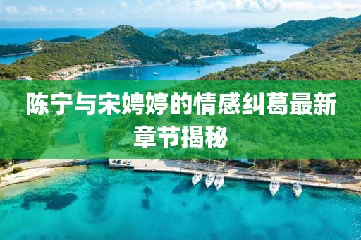 陈宁与宋娉婷的情感纠葛最新章节揭秘