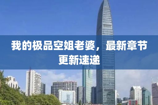 我的极品空姐老婆，最新章节更新速递