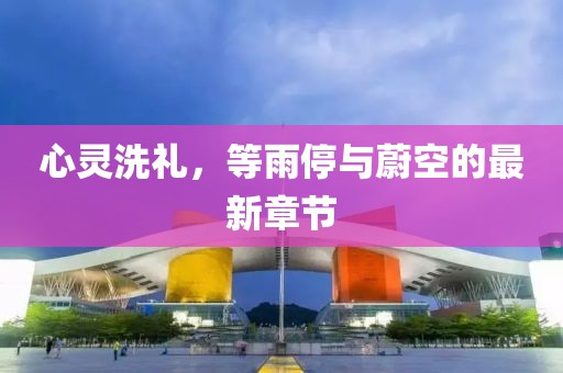 心灵洗礼，等雨停与蔚空的最新章节