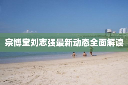 宗博堂刘志强最新动态全面解读