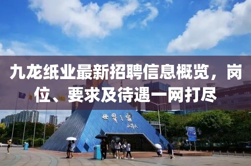 九龙纸业最新招聘信息概览，岗位、要求及待遇一网打尽
