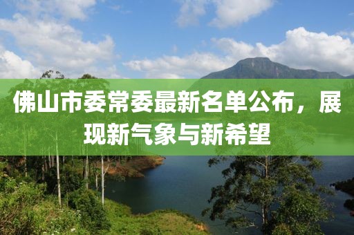 佛山市委常委最新名单公布，展现新气象与新希望