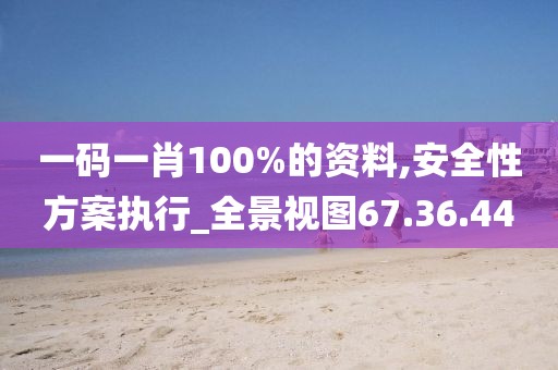 一码一肖100%的资料,安全性方案执行_全景视图67.36.44