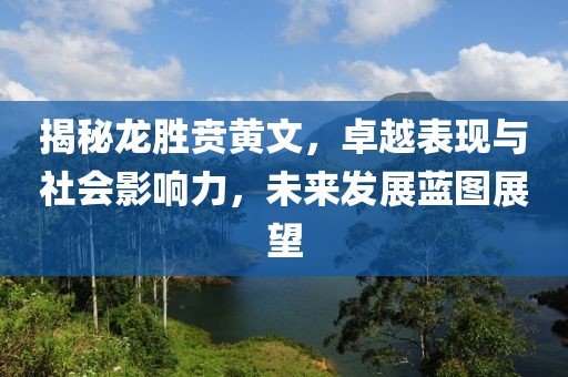 揭秘龙胜贲黄文，卓越表现与社会影响力，未来发展蓝图展望