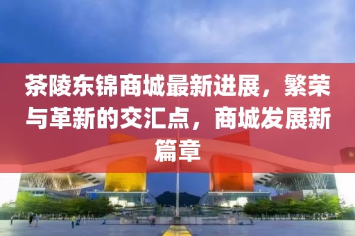 茶陵东锦商城最新进展，繁荣与革新的交汇点，商城发展新篇章