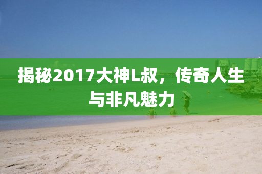 揭秘2017大神L叔，传奇人生与非凡魅力