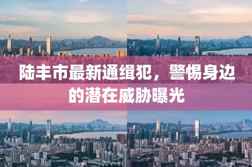 陆丰市最新通缉犯，警惕身边的潜在威胁曝光