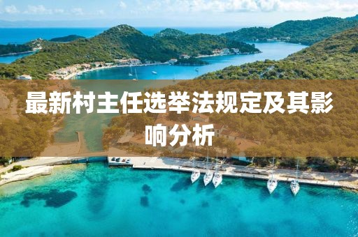 最新村主任选举法规定及其影响分析