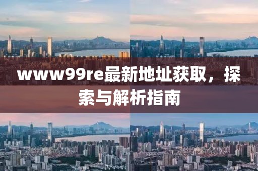 www99re最新地址获取，探索与解析指南