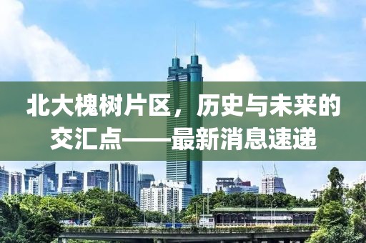 北大槐树片区，历史与未来的交汇点——最新消息速递