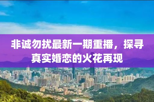 非诚勿扰最新一期重播，探寻真实婚恋的火花再现