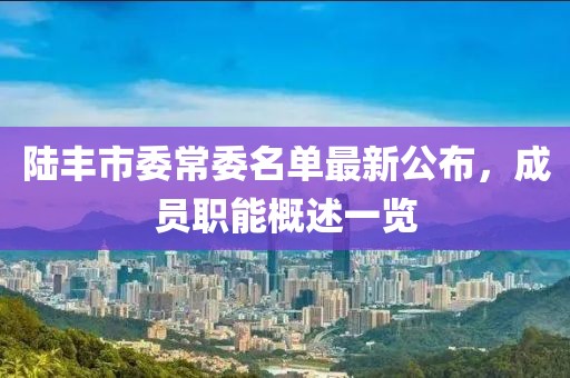 陆丰市委常委名单最新公布，成员职能概述一览
