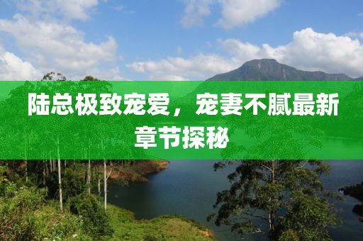 陆总极致宠爱，宠妻不腻最新章节探秘