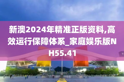 新澳2024年精准正版资料,高效运行保障体系_家庭娱乐版NH55.41