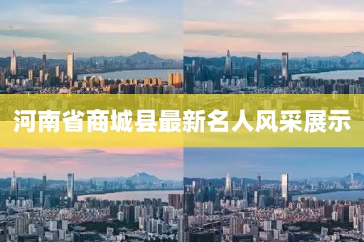 河南省商城县最新名人风采展示