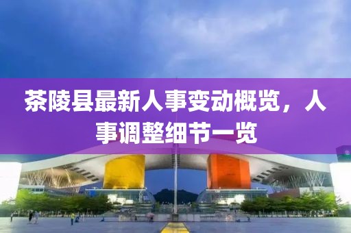 茶陵县最新人事变动概览，人事调整细节一览