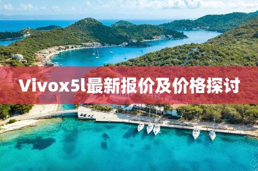 Vivox5l最新报价及价格探讨