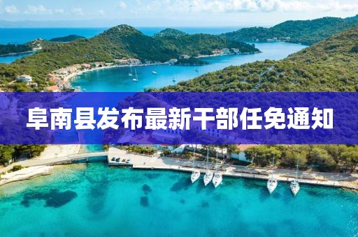 阜南县发布最新干部任免通知