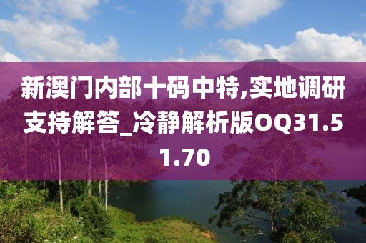 新澳门内部十码中特,实地调研支持解答_冷静解析版OQ31.51.70