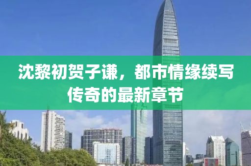 沈黎初贺子谦，都市情缘续写传奇的最新章节