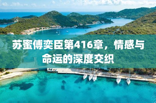苏蜜傅奕臣第416章，情感与命运的深度交织