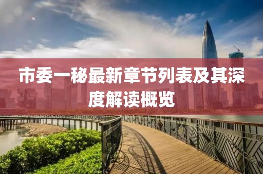 市委一秘最新章节列表及其深度解读概览