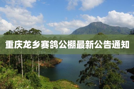 重庆龙乡赛鸽公棚最新公告通知