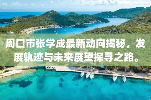 周口市张学成最新动向揭秘，发展轨迹与未来展望探寻之路。