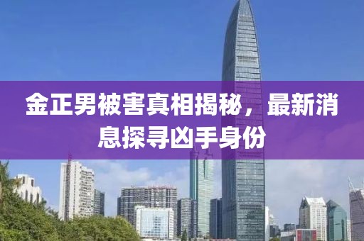 金正男被害真相揭秘，最新消息探寻凶手身份