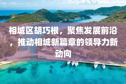 相城区胡巧根，聚焦发展前沿，推动相城新篇章的领导力新动向