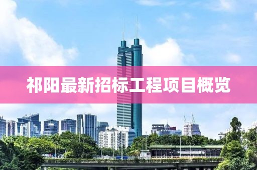 祁阳最新招标工程项目概览