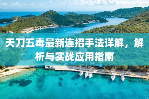 天刀五毒最新连招手法详解，解析与实战应用指南