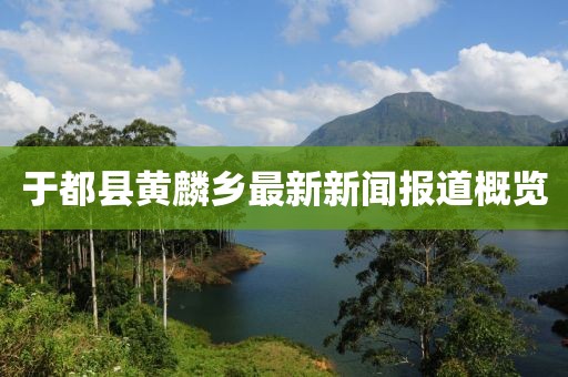 于都县黄麟乡最新新闻报道概览