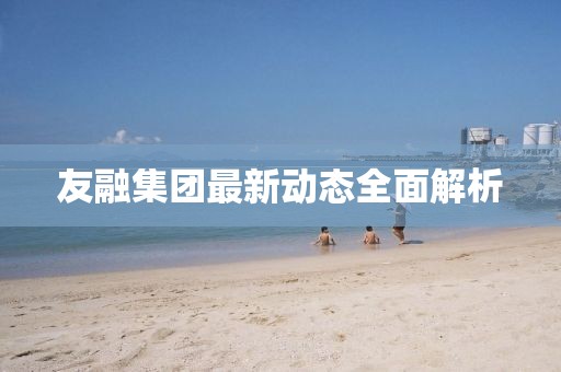 友融集团最新动态全面解析
