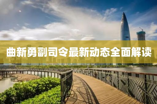 曲新勇副司令最新动态全面解读