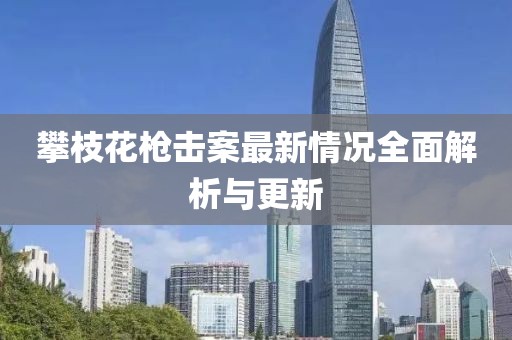 攀枝花枪击案最新情况全面解析与更新
