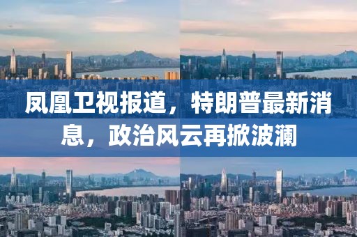 凤凰卫视报道，特朗普最新消息，政治风云再掀波澜
