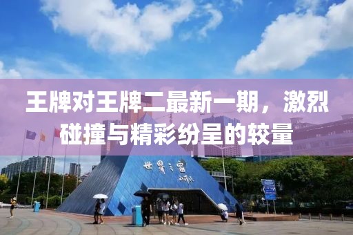 王牌对王牌二最新一期，激烈碰撞与精彩纷呈的较量