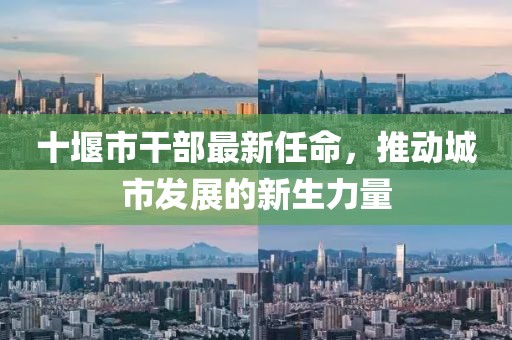 十堰市干部最新任命，推动城市发展的新生力量