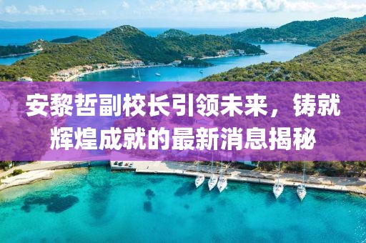 安黎哲副校长引领未来，铸就辉煌成就的最新消息揭秘